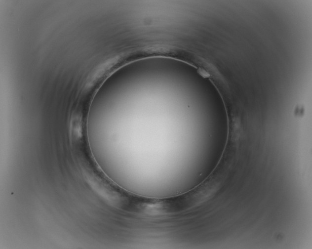 X0000113240068200909171612