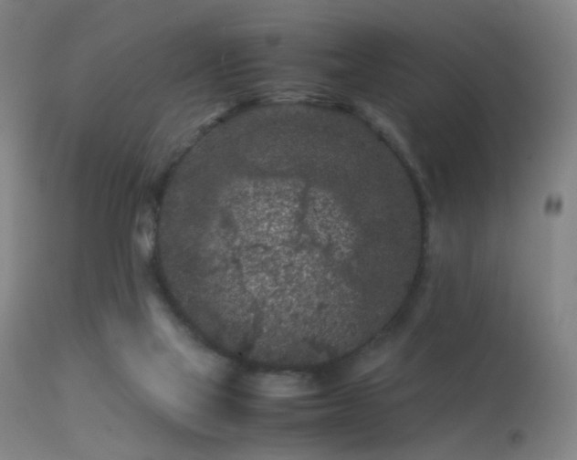 X0000113240069200909171612