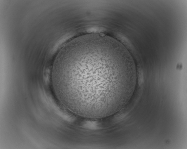 X0000113240071200909171612