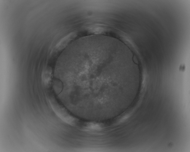 X0000113240073200909171612