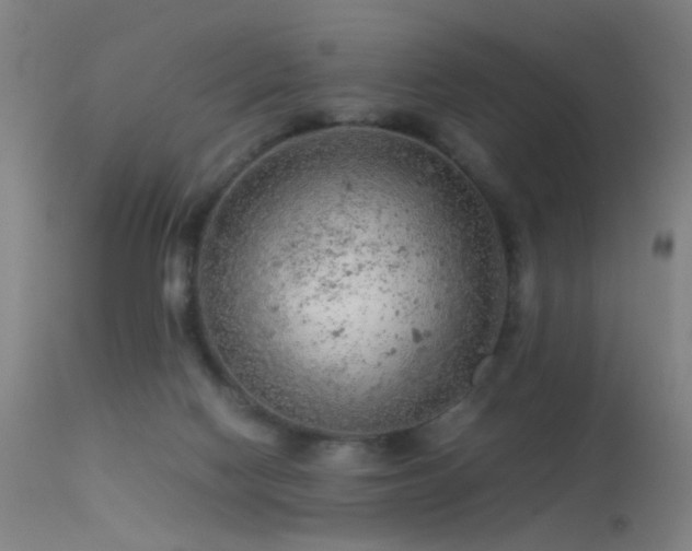 X0000113240074200909171612