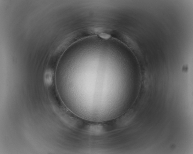 X0000113240075200909171612