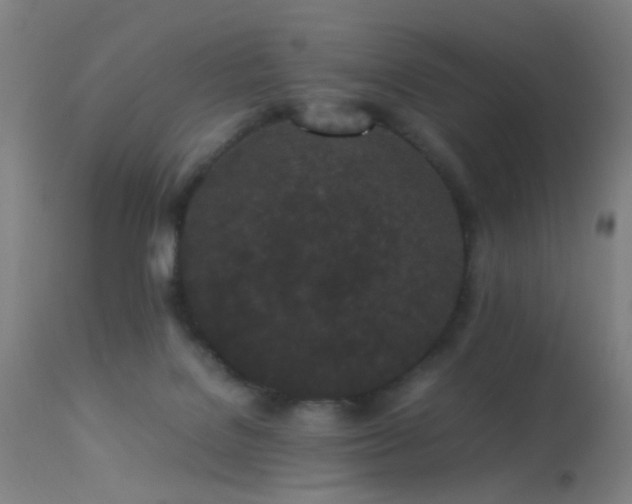 X0000113240076200909171612