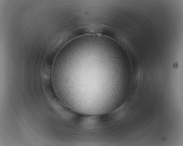 X0000113240078200909171612