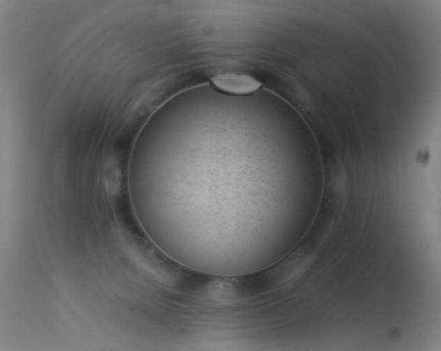 X0000113240080200909171612