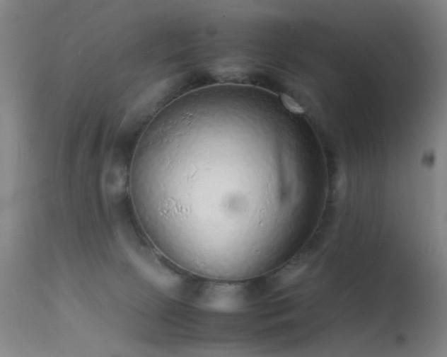 X0000113240081200909171612