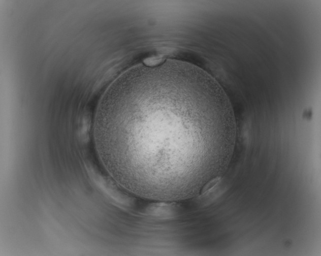 X0000113240082200909171612