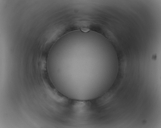 X0000113240083200909171612