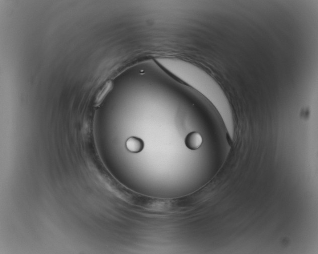 X0000113240084200909171612