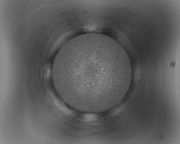 X0000113240085200909171612