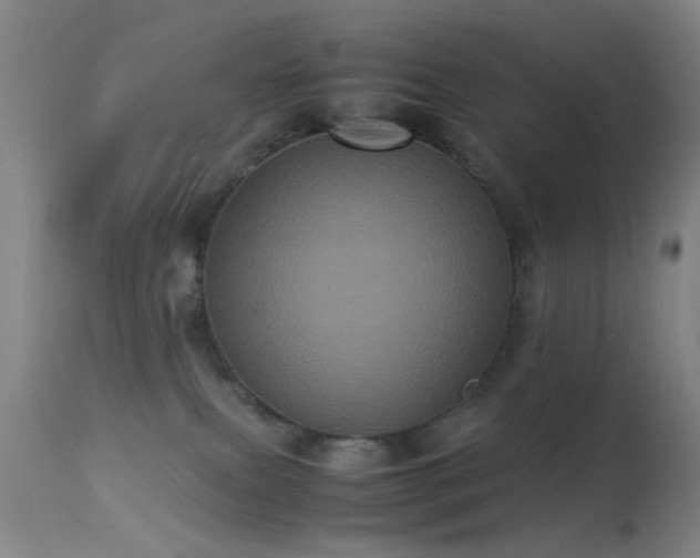 X0000113240087200909171612