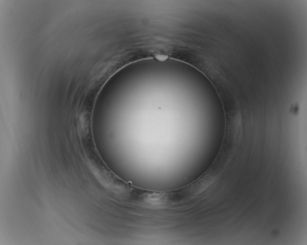 X0000113240088200909171612