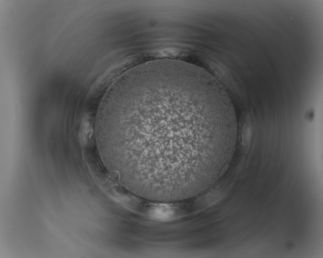 X0000113240091200909171613