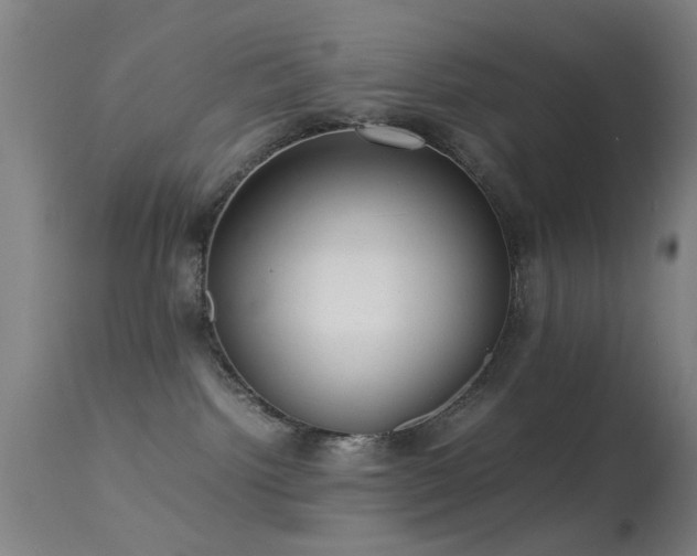 X0000113240092200909171613