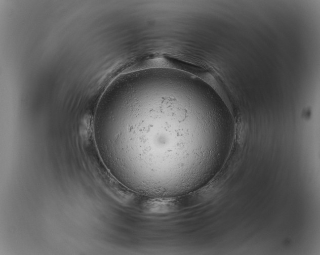 X0000113240093200909171613