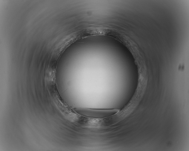 X0000113240096200909171613