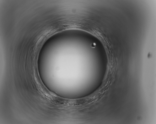 X0000113240097200909171612