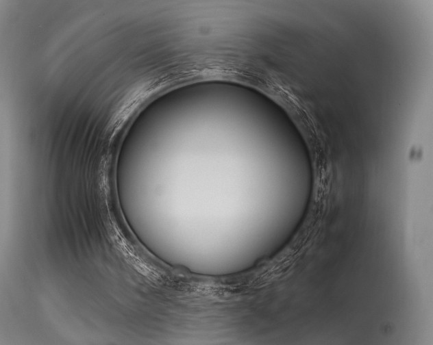 X0000113240098200909171612