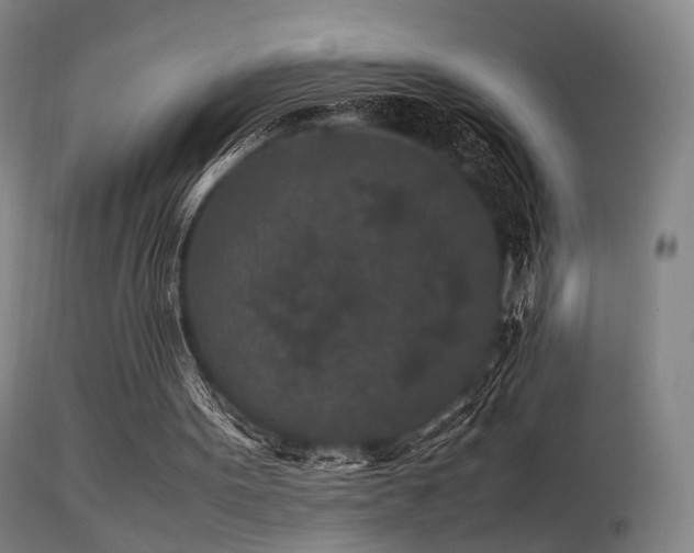 X0000113240099200909171612