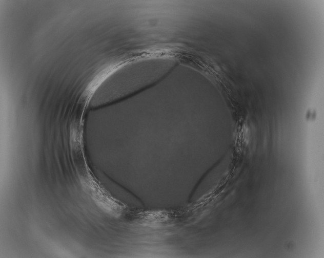 X0000113240100200909171612