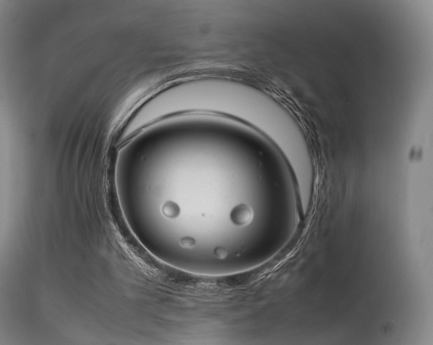 X0000113240101200909171612