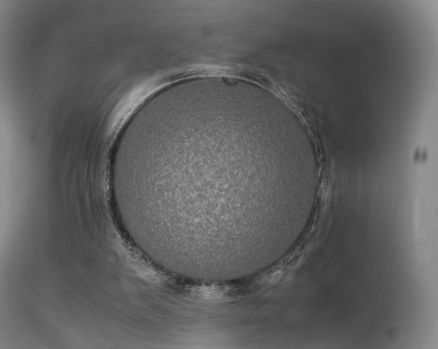 X0000113240103200909171612