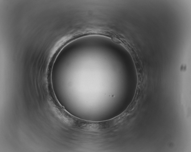 X0000113240104200909171612