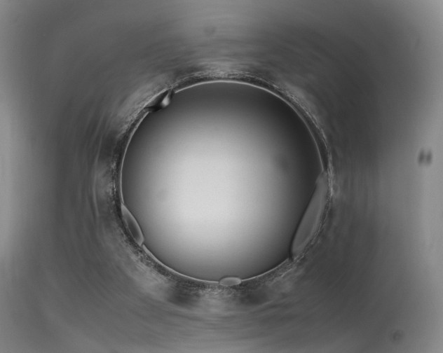 X0000113240105200909171612