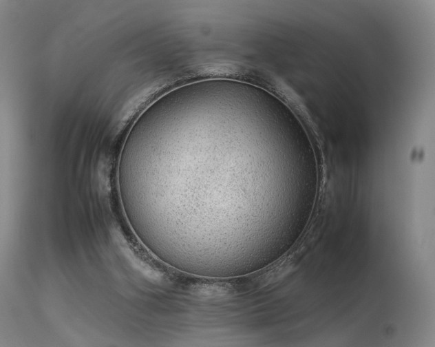 X0000113240106200909171612