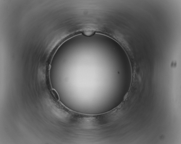 X0000113240108200909171612