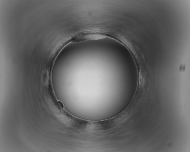 X0000113240109200909171612