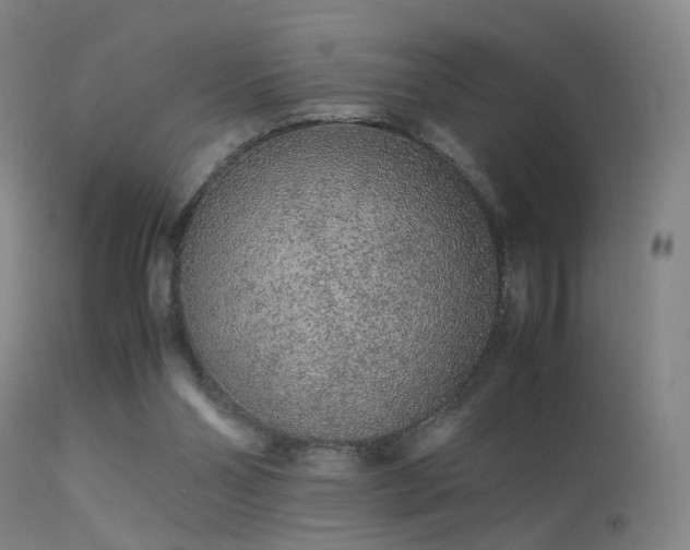 X0000113240110200909171612