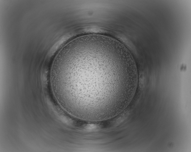 X0000113240111200909171612