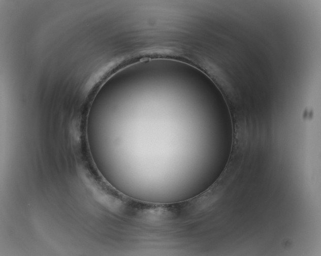 X0000113240112200909171612