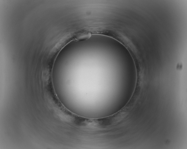 X0000113240113200909171612