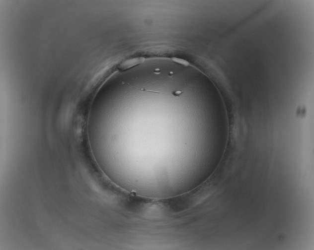 X0000113240115200909171612