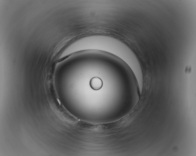 X0000113240116200909171612