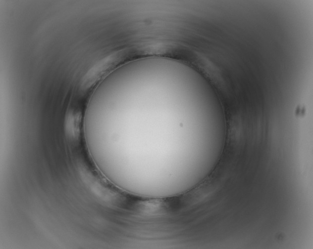 X0000113240118200909171612