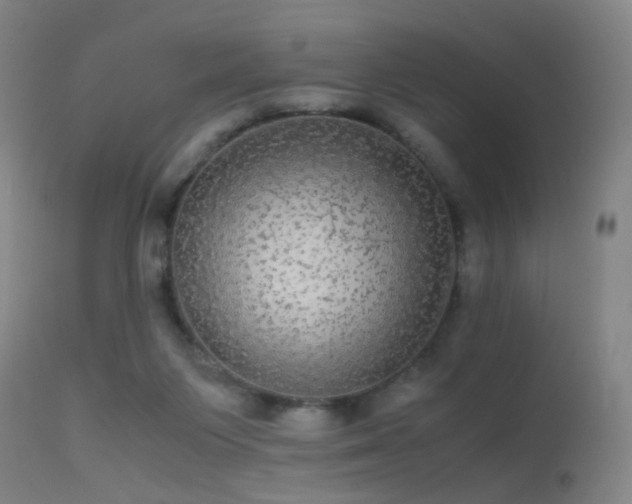 X0000113240119200909171612