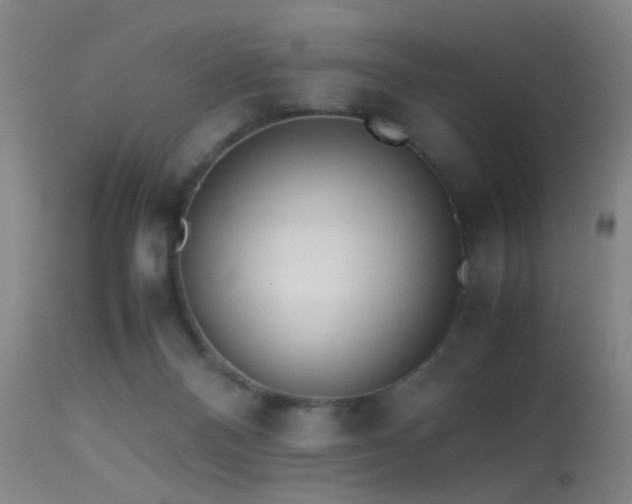 X0000113240120200909171612