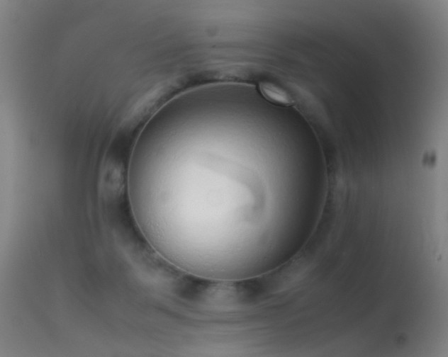 X0000113240123200909171612