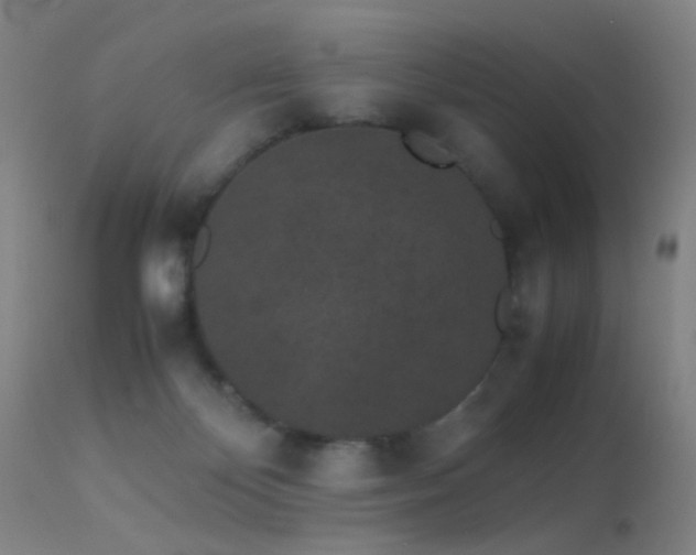 X0000113240124200909171612