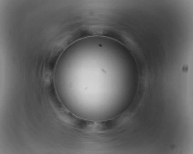 X0000113240125200909171612