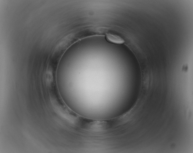 X0000113240128200909171611