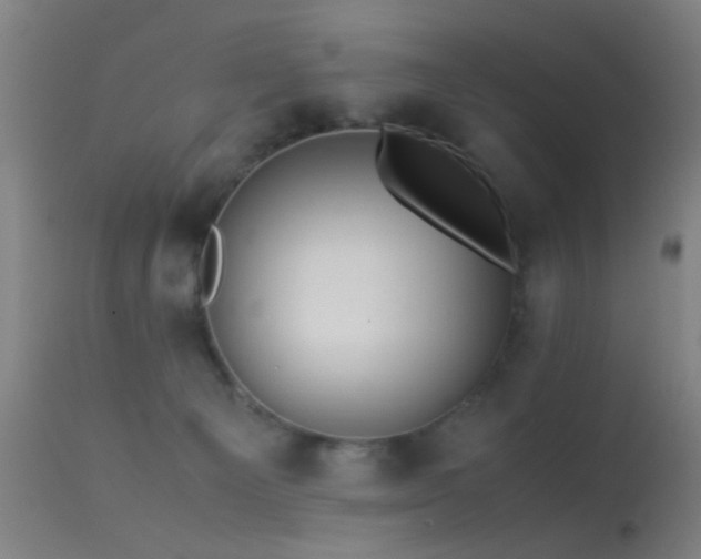 X0000113240129200909171611