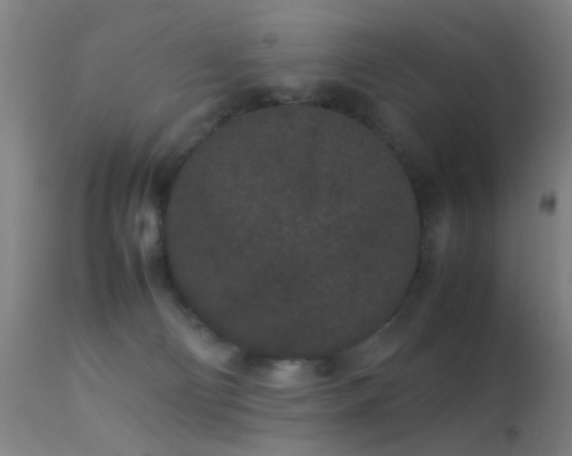 X0000113240130200909171611