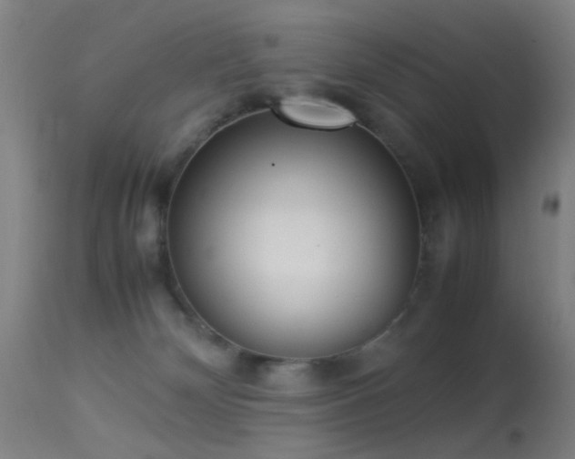 X0000113240132200909171611