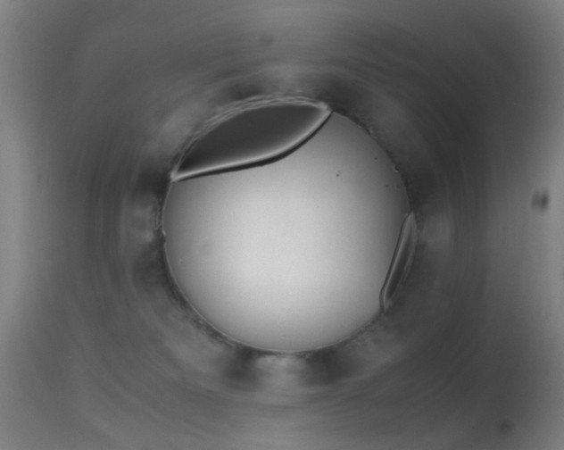 X0000113240133200909171611