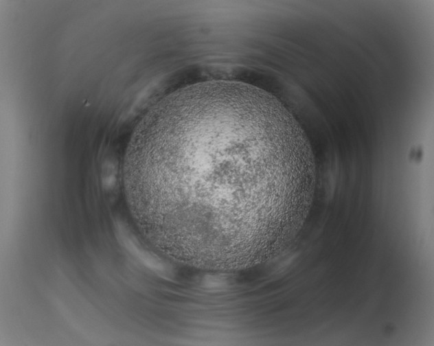 X0000113240134200909171611