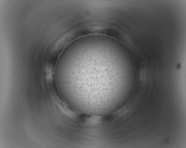 X0000113240138200909171611